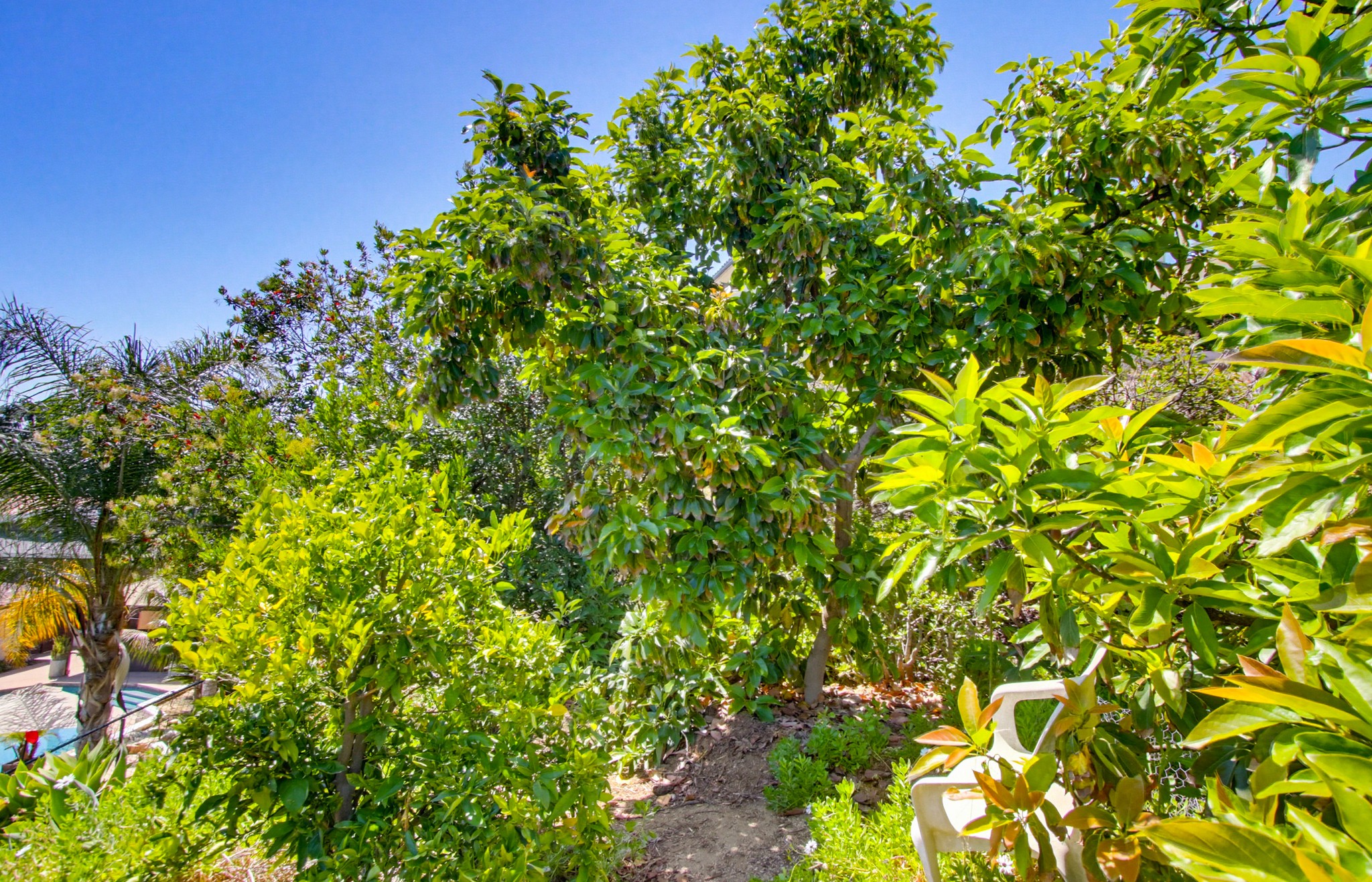 Virtual tour photo 71 of 110 for 10018 Resmar Pl