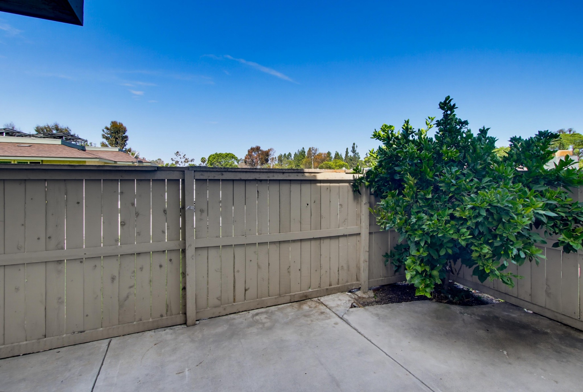 Virtual tour photo 29 of 37 for 10142 Caminito Zar