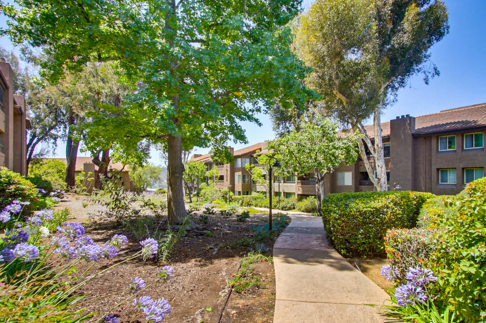 Virtual tour photo 29 of 53 for 10225 Caminito Cuervo UNIT 146