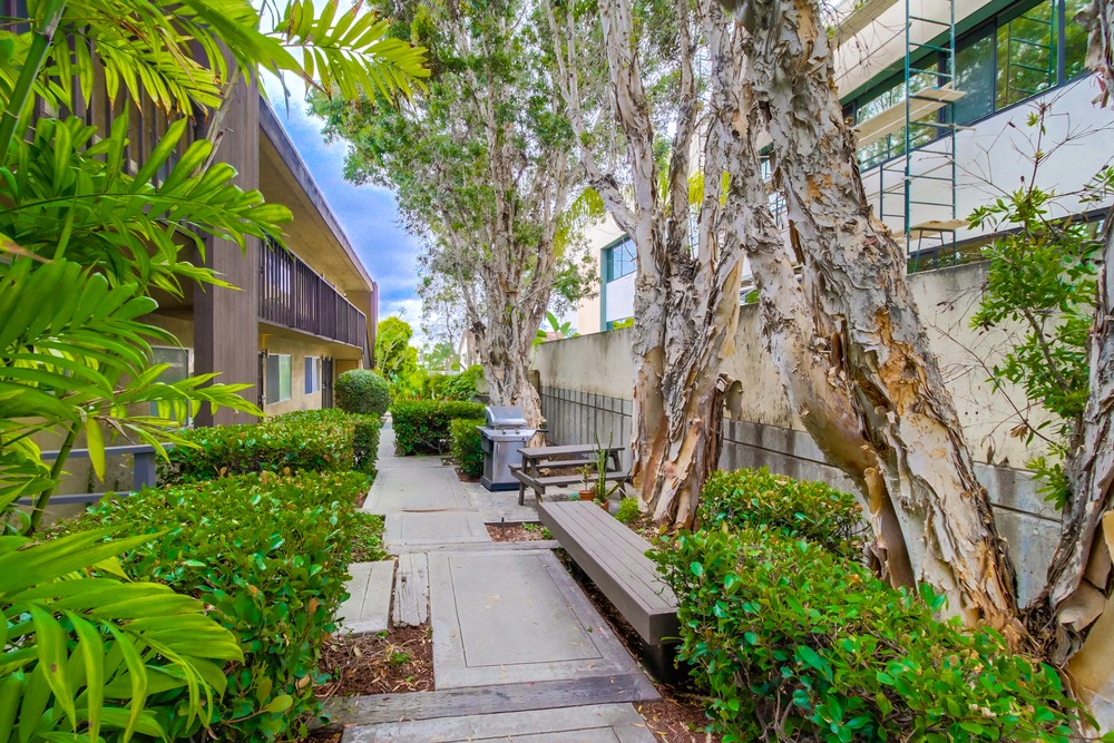 Virtual tour photo 5 of 23 for 1024 Turquoise St #F
