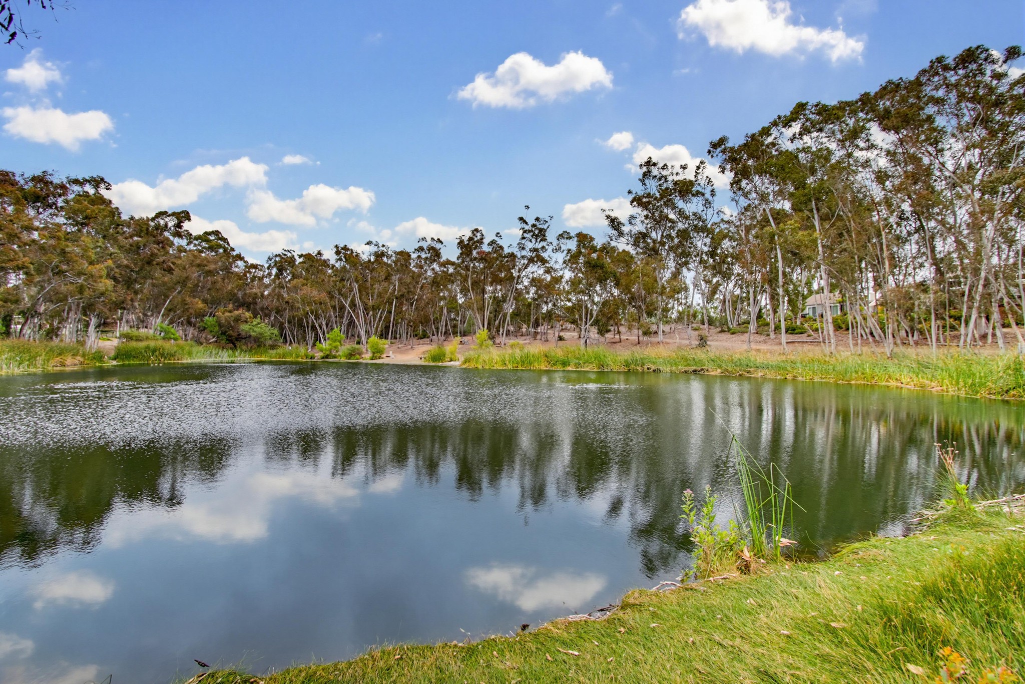 Virtual tour photo 48 of 51 for 10261 Caminito Agadir