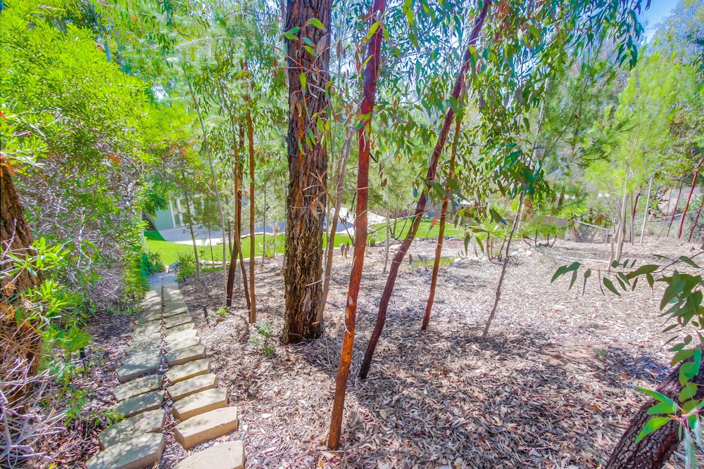 Virtual tour photo 59 of 58 for 10310 Mesa Madera Dr