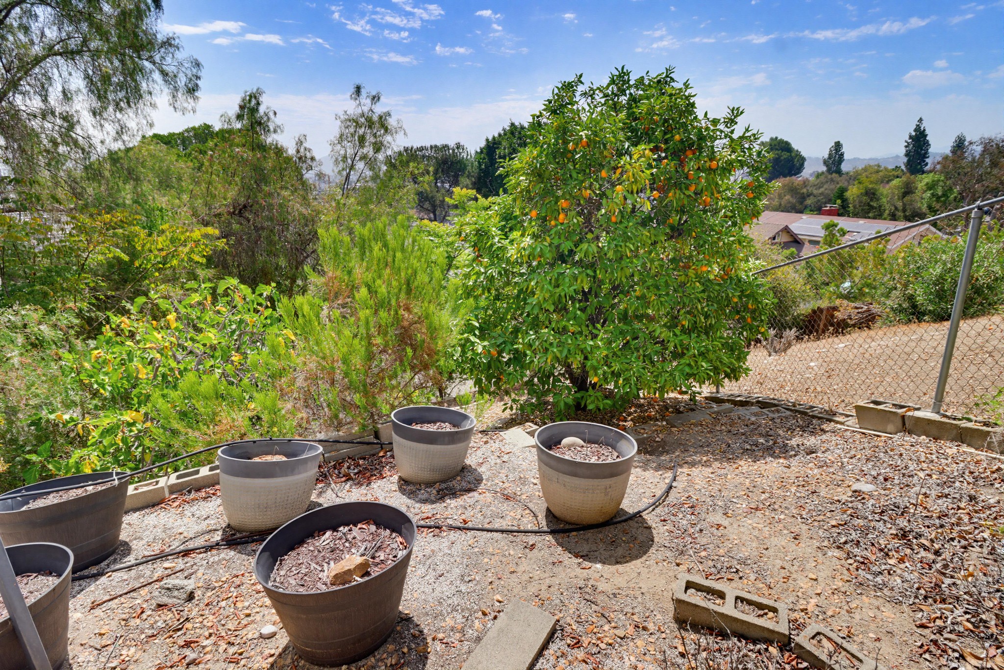 Virtual tour photo 60 of 74 for 1033 Loma Portal Dr