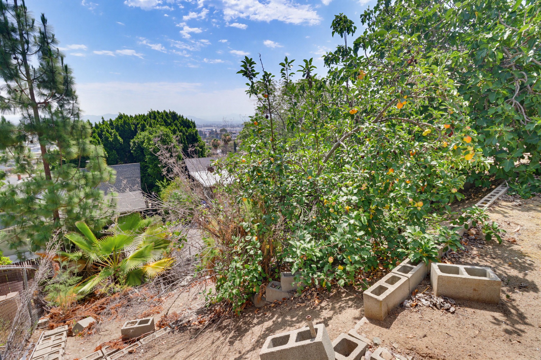 Virtual tour photo 62 of 74 for 1033 Loma Portal Dr