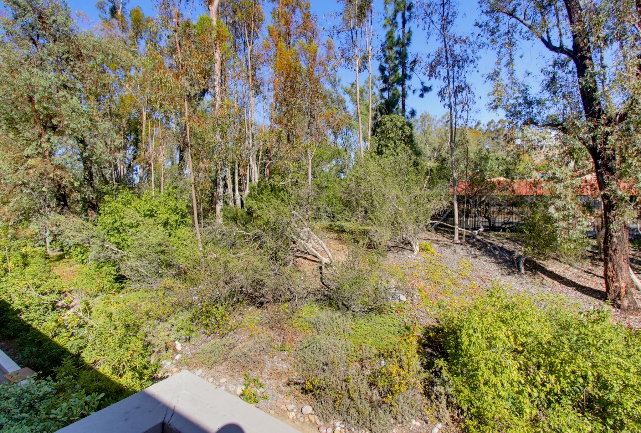 Virtual tour photo 39 of 70 for 10467 Crosscreek Terrace