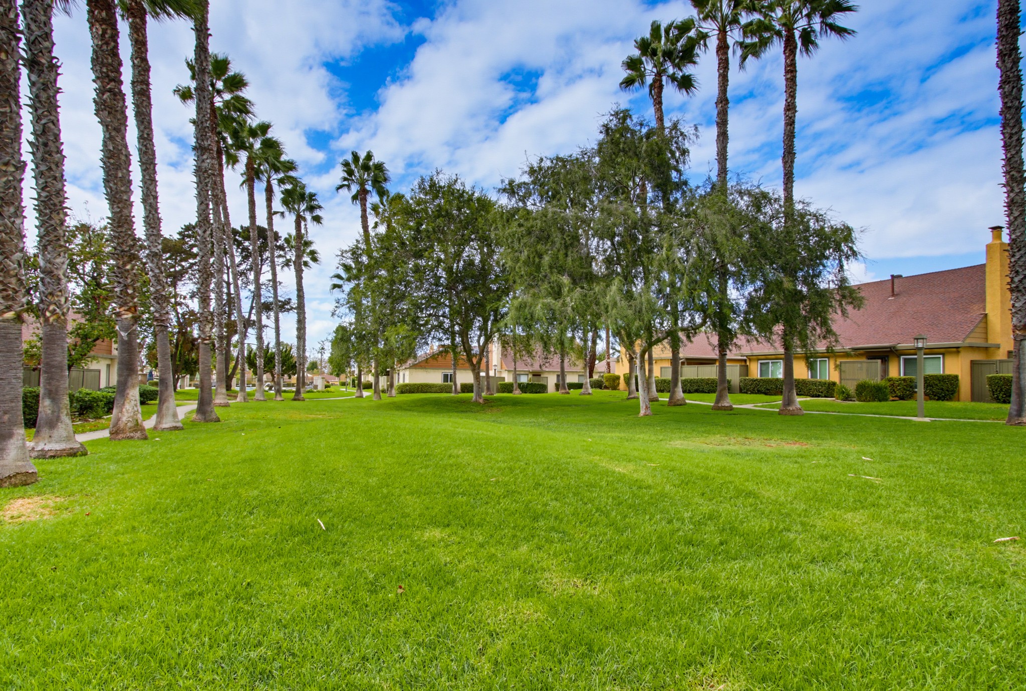 Virtual tour photo 51 of 55 for 10597 Caminito Glenellen