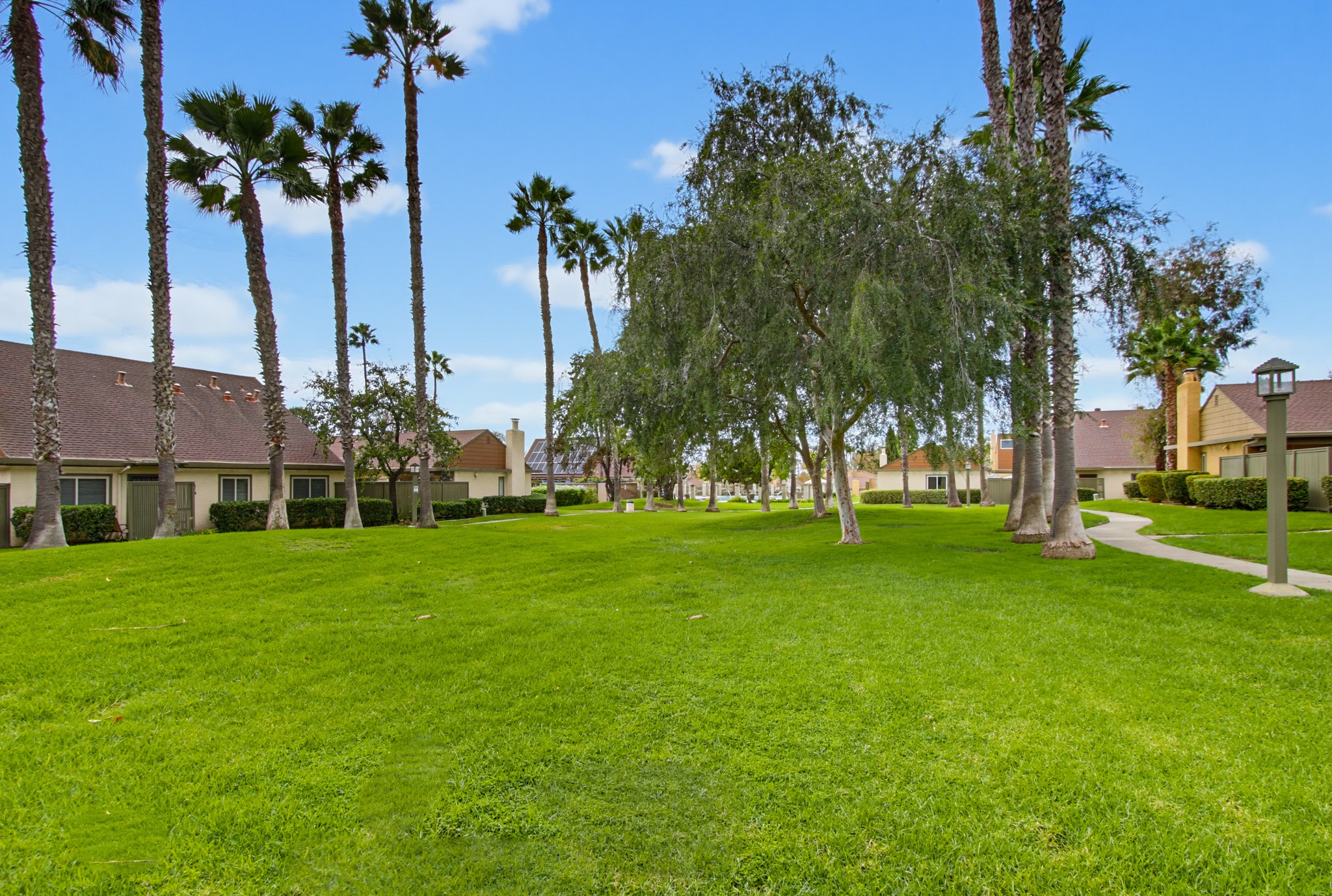 Virtual tour photo 52 of 55 for 10597 Caminito Glenellen