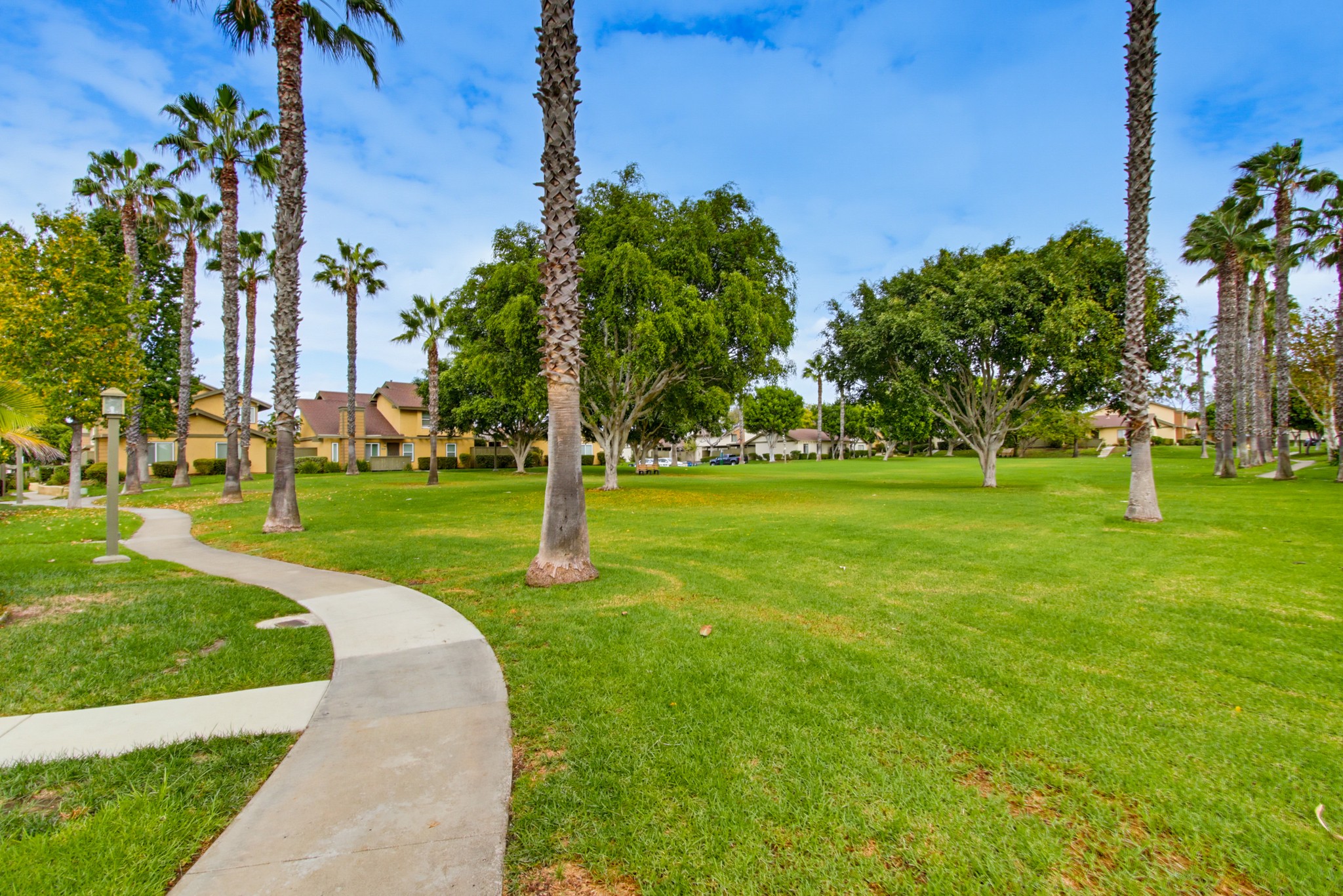 Virtual tour photo 53 of 55 for 10597 Caminito Glenellen