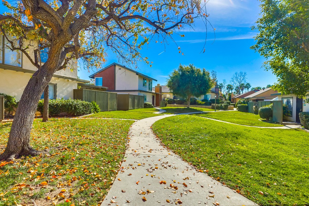 Virtual tour photo 1 of 26 for 10684 Caminito Duro