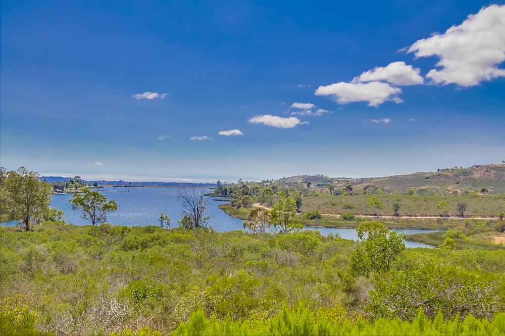 Virtual tour photo 16 of 16 for 10705 Ballystock Court