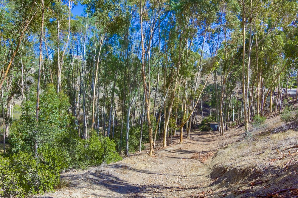 Virtual tour photo 58 of 59 for 10718 Portobelo Dr