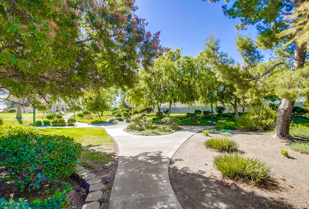 Virtual tour photo 54 of 67 for 10731 Esmeraldas Dr