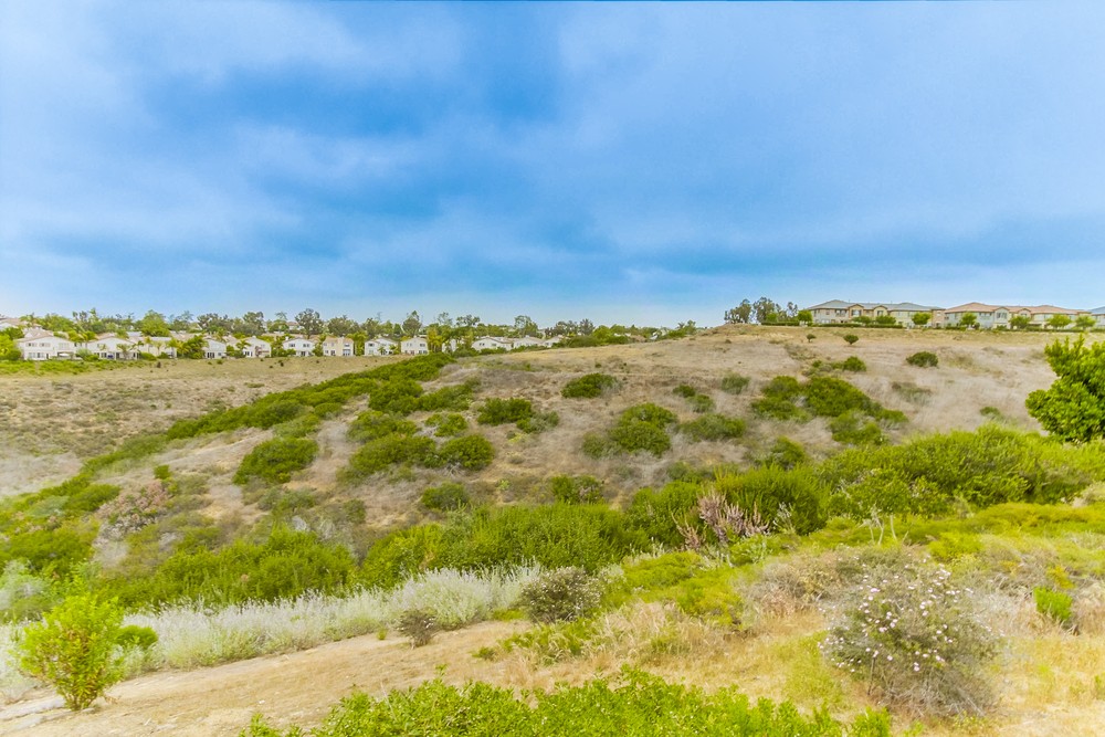 Virtual tour photo 77 of 77 for 10756 Spur Point Ct