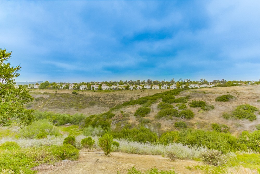 Virtual tour photo 78 of 77 for 10756 Spur Point Ct