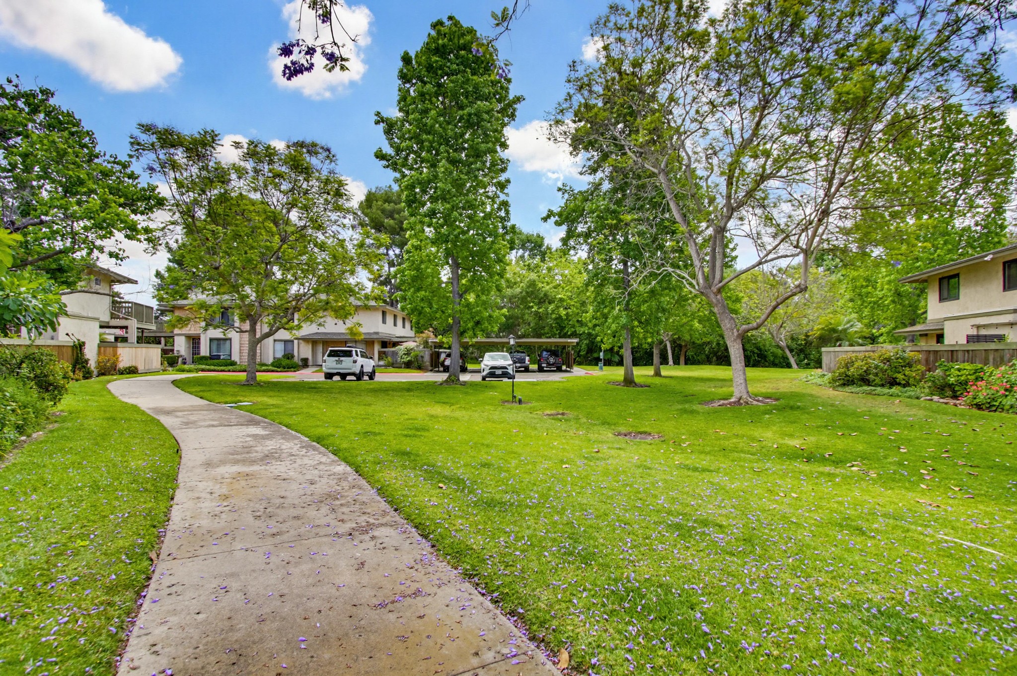 Virtual tour photo 35 of 39 for 10765 Caminito Bravura