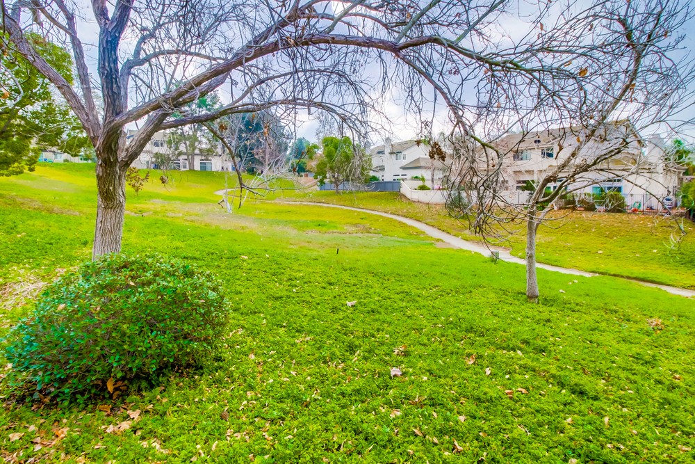 Virtual tour photo 49 of 48 for 10787 Matinal Cir