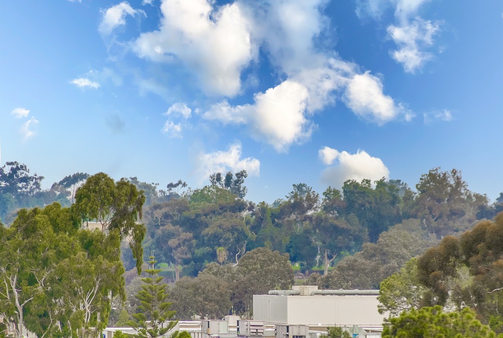 Virtual tour photo 51 of 52 for 1080 Park Blvd