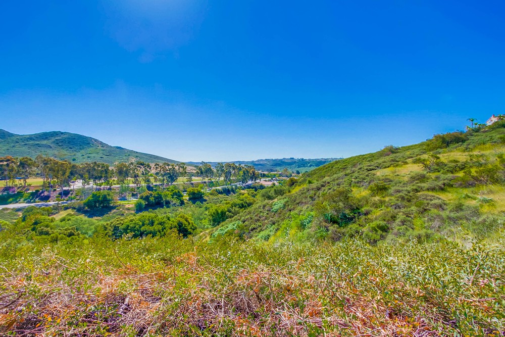 Virtual tour photo 32 of 32 for 10824 Sabre Hill Dr