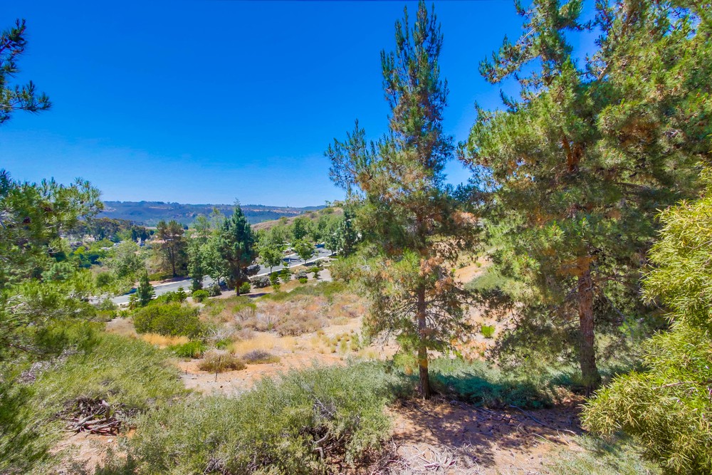 Virtual tour photo 31 of 32 for 10850 Sabre Hill Dr UNIT 238