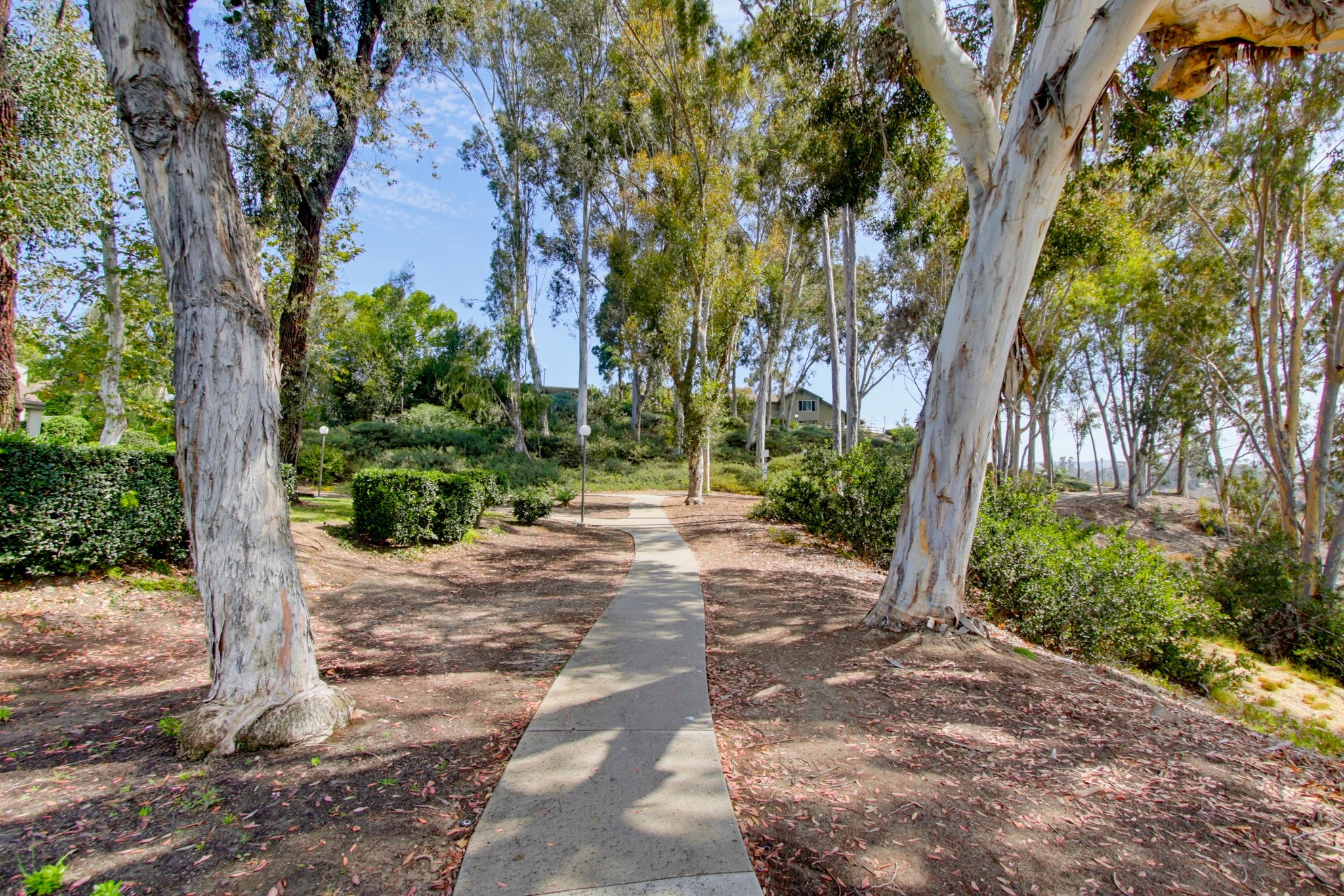 Virtual tour photo 42 of 50 for 10854 Macouba Pl