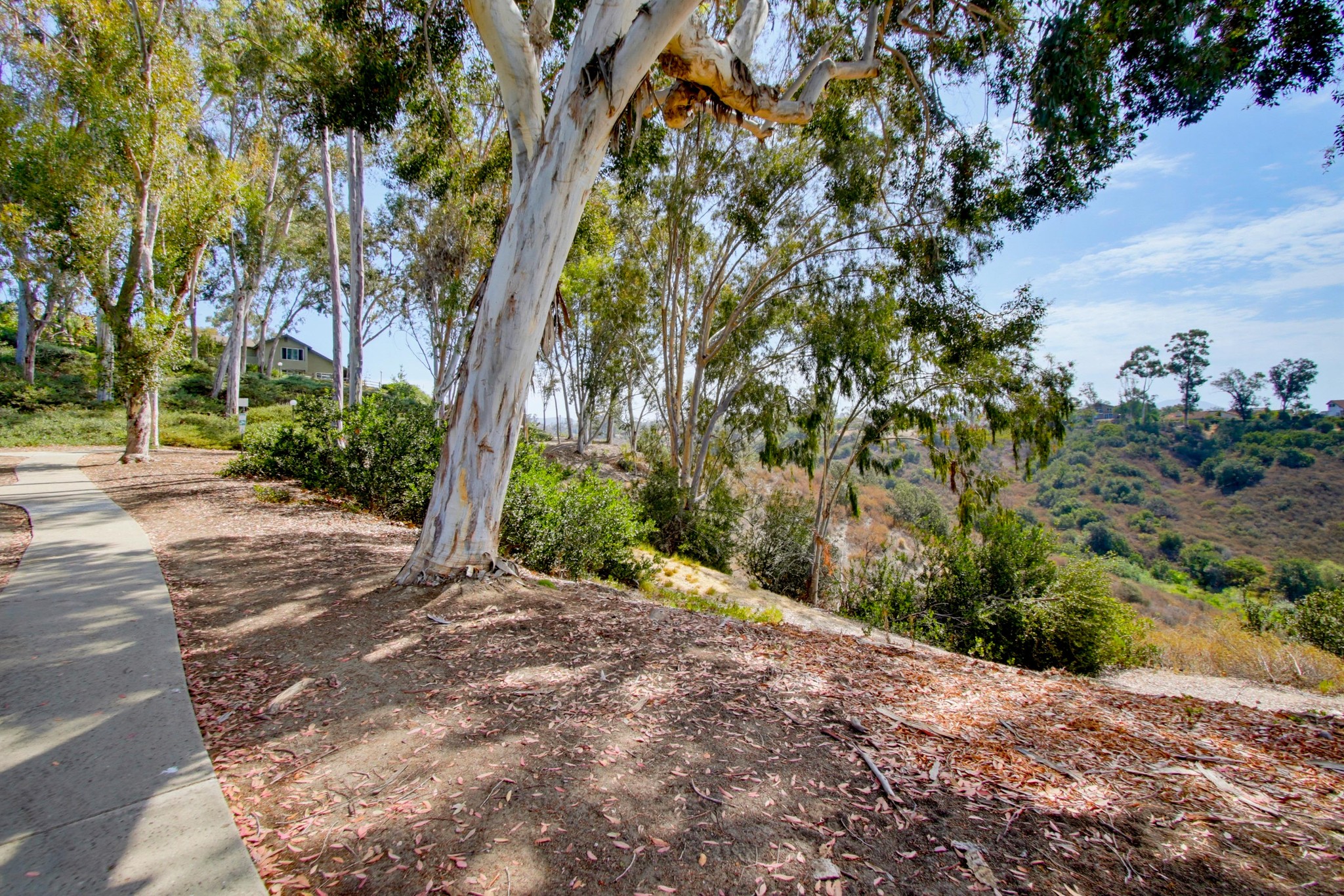 Virtual tour photo 43 of 50 for 10854 Macouba Pl