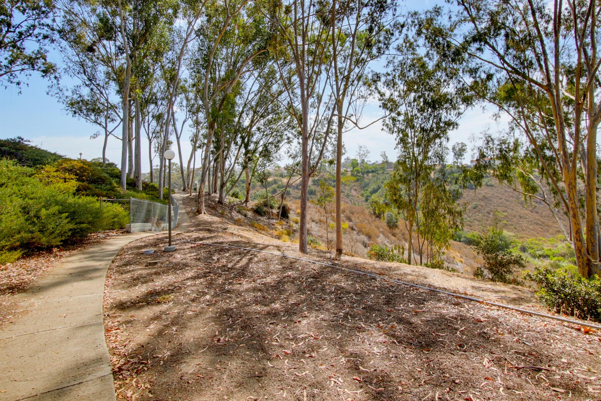 Virtual tour photo 45 of 50 for 10854 Macouba Pl
