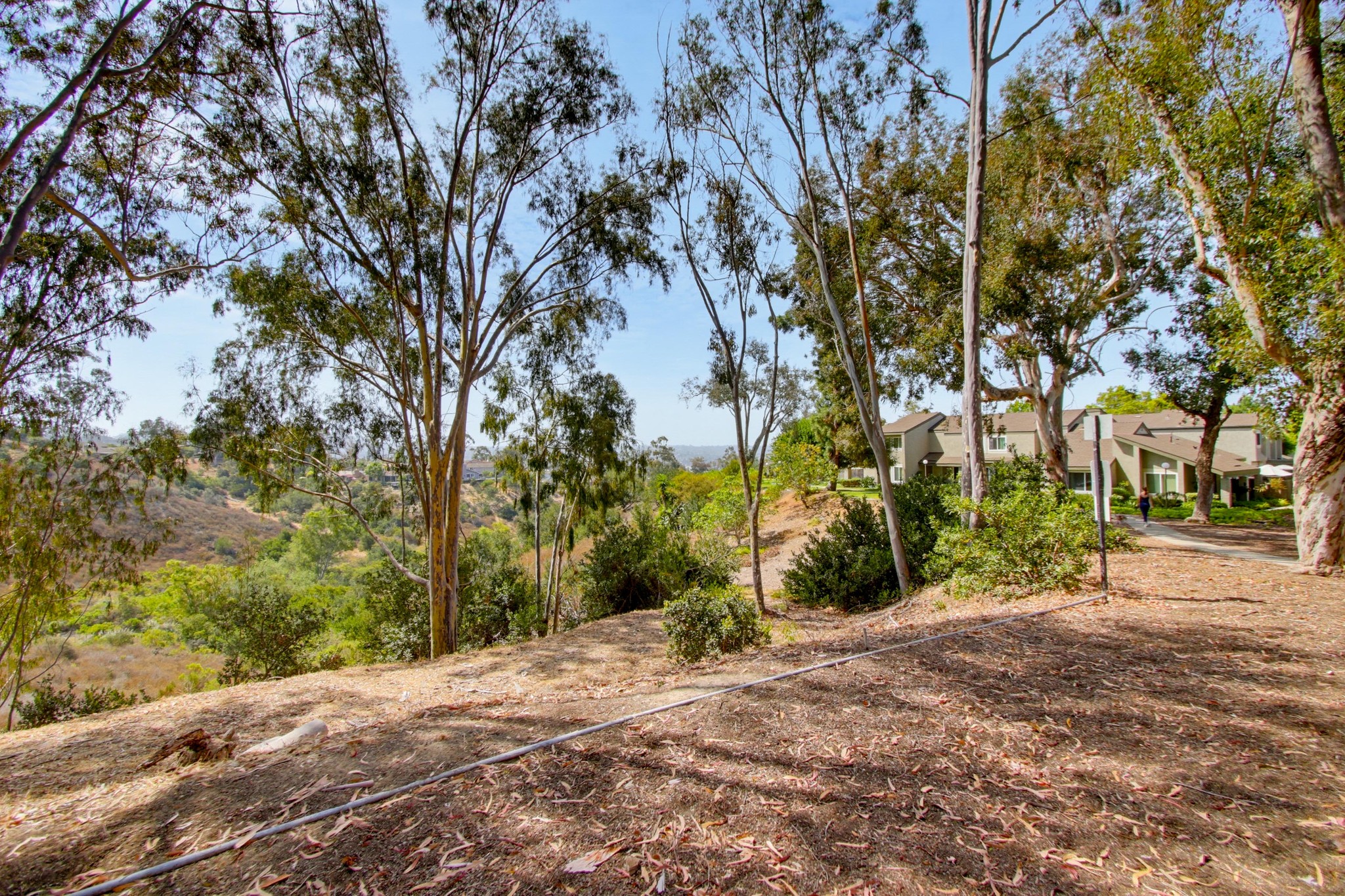 Virtual tour photo 46 of 50 for 10854 Macouba Pl