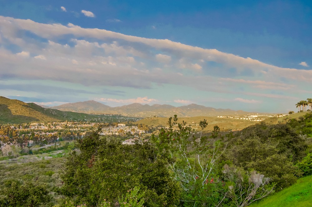 Virtual tour photo 15 of 56 for 10876 Ivy Hill Dr UNIT 4