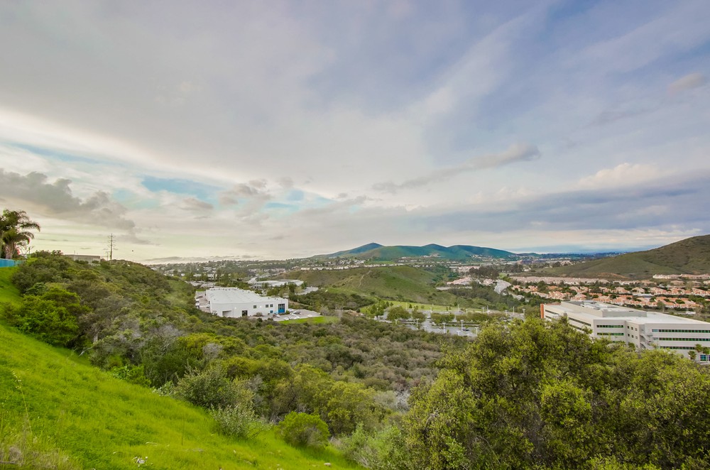 Virtual tour photo 52 of 56 for 10876 Ivy Hill Dr UNIT 4