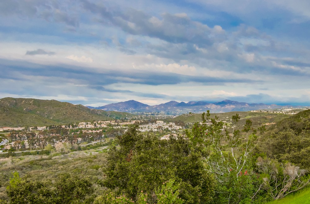 Virtual tour photo 54 of 56 for 10876 Ivy Hill Dr UNIT 4