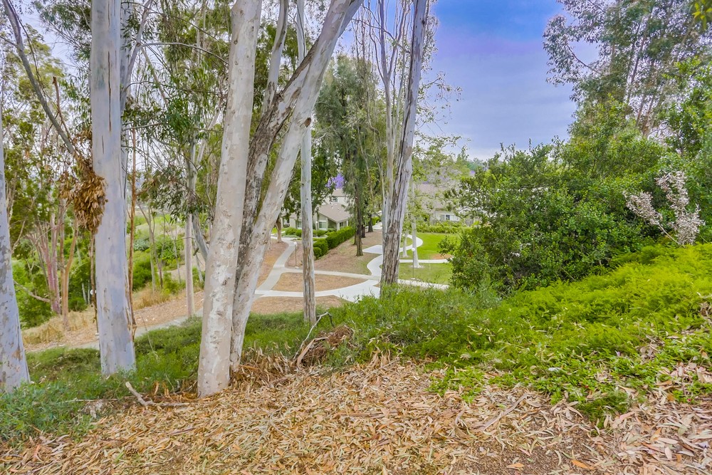 Virtual tour photo 39 of 38 for 10896 Caravelle Pl