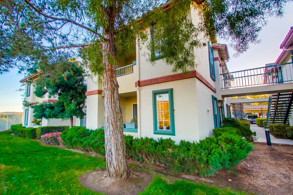 Virtual tour photo 51 of 61 for 10914 Sabre Hill Dr #331