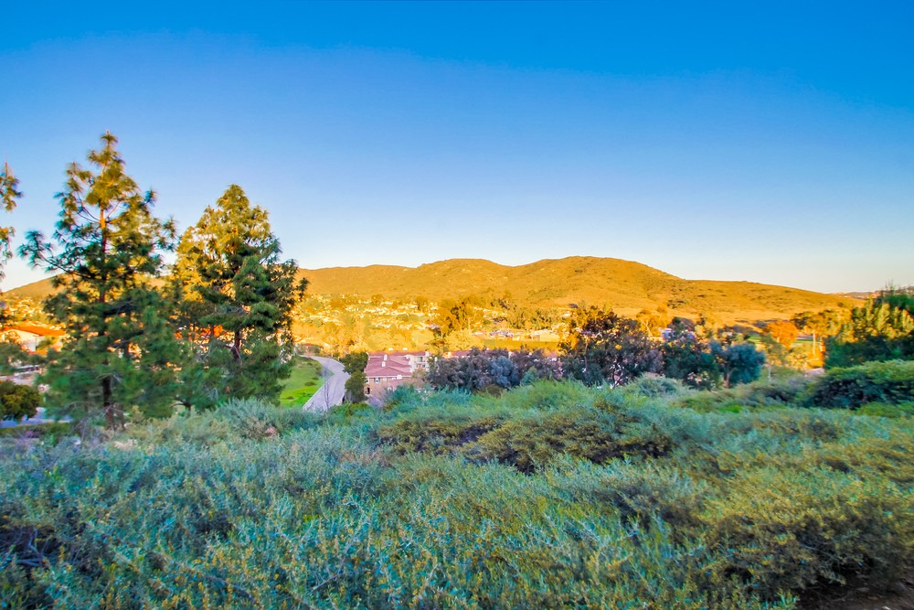 Virtual tour photo 62 of 61 for 10914 Sabre Hill Dr #331
