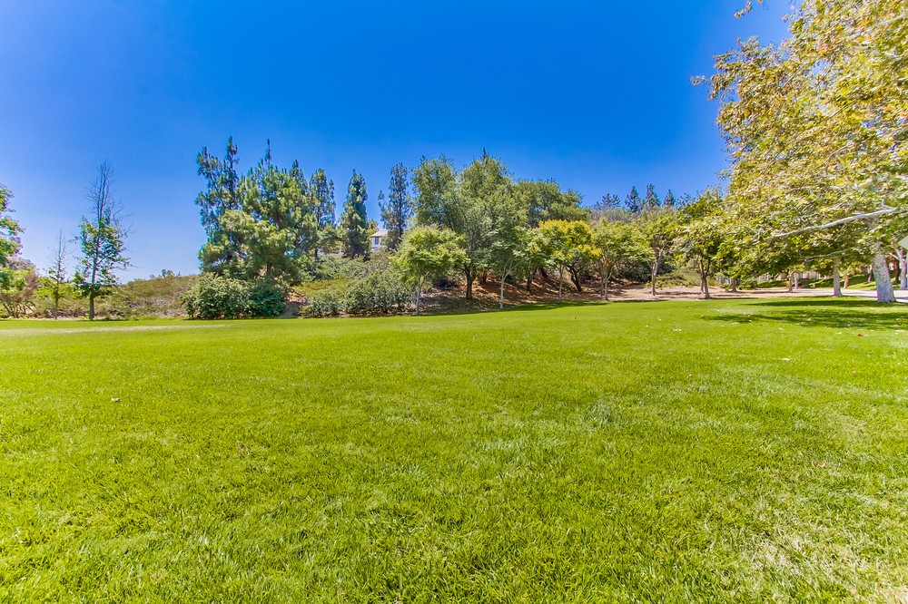 Virtual tour photo 29 of 31 for 10925 Sabre Hill Drive #384