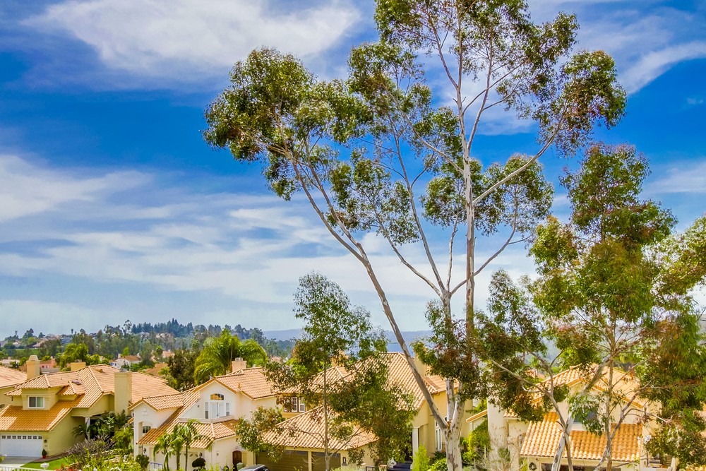 Virtual tour photo 50 of 67 for 10930 Patina Ct