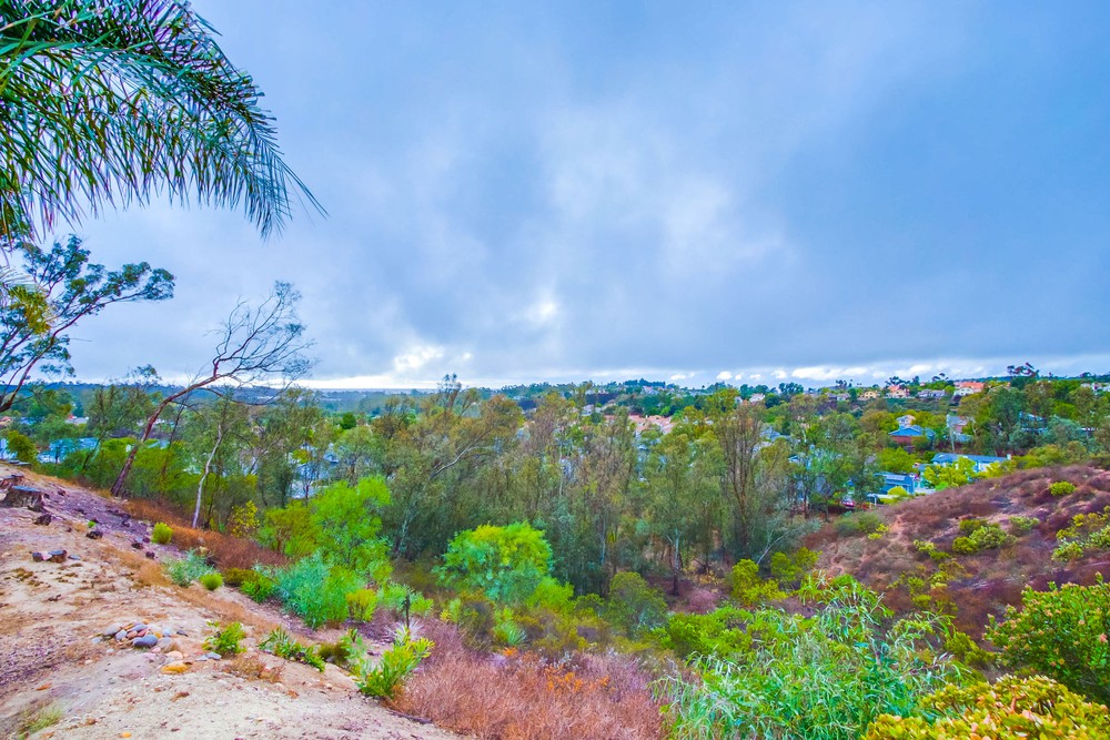 Virtual tour photo 65 of 66 for 10948 Elderwood Ct