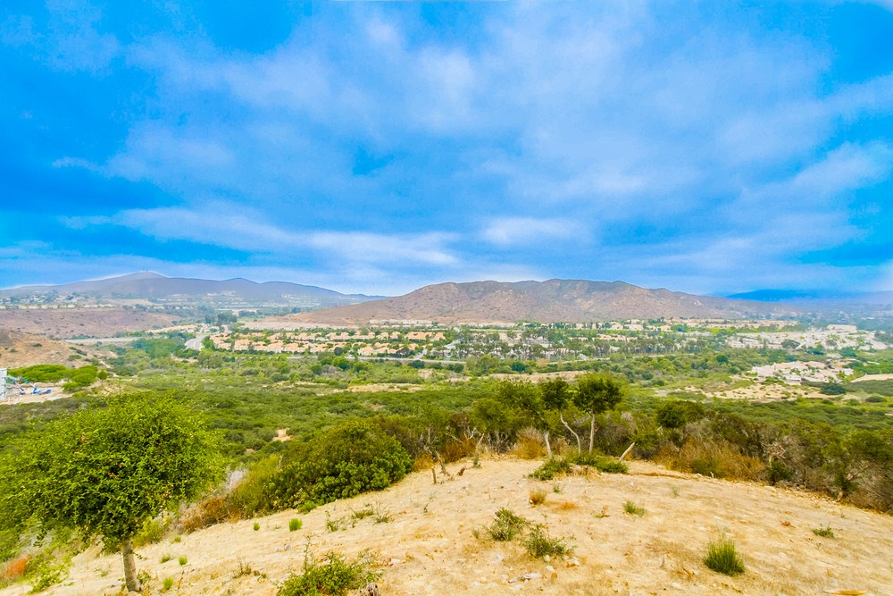 Virtual tour photo 43 of 43 for 10970 Ivy Hill Dr #3