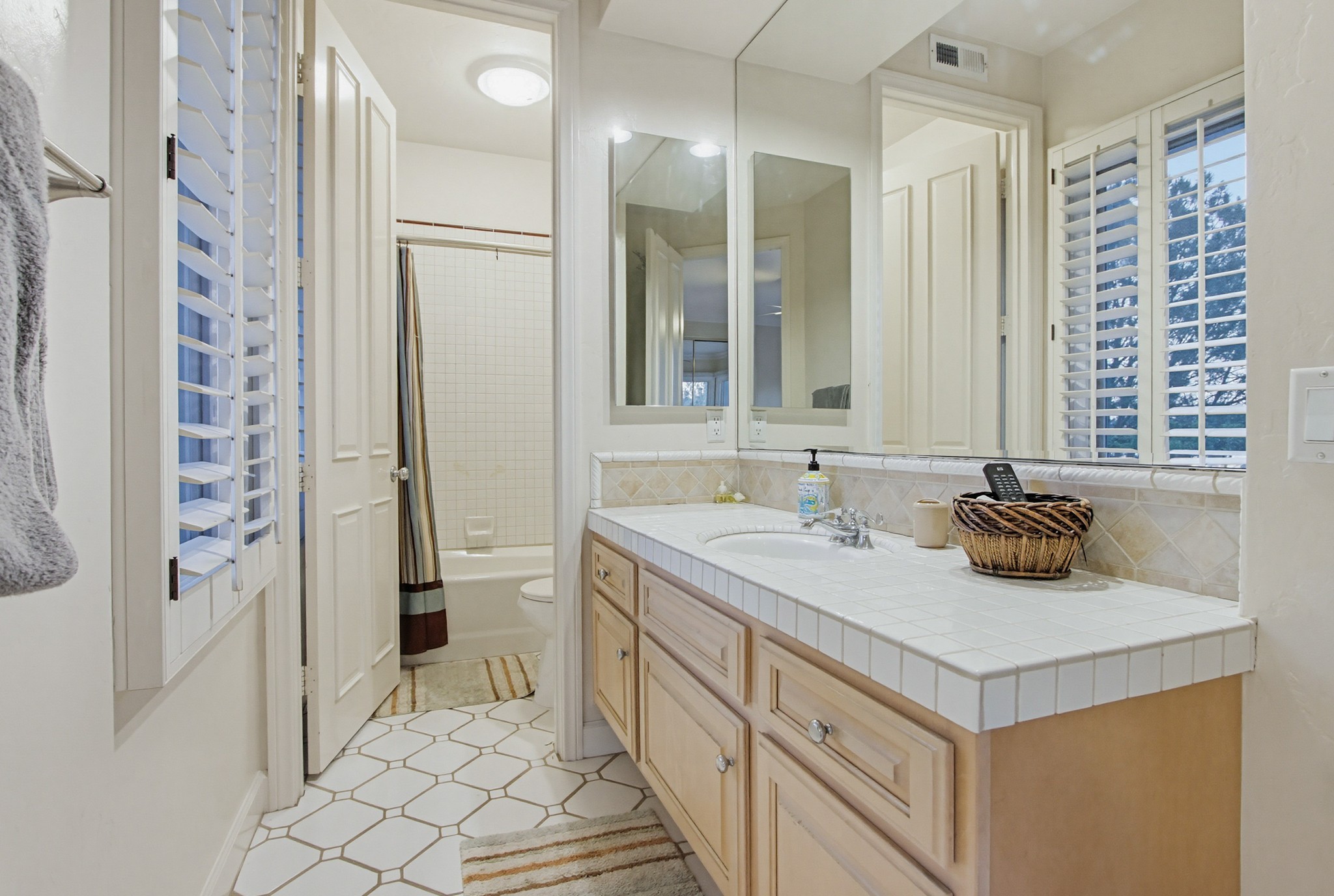 Virtual tour photo 70 of 99 for 10971 Twinleaf Ct