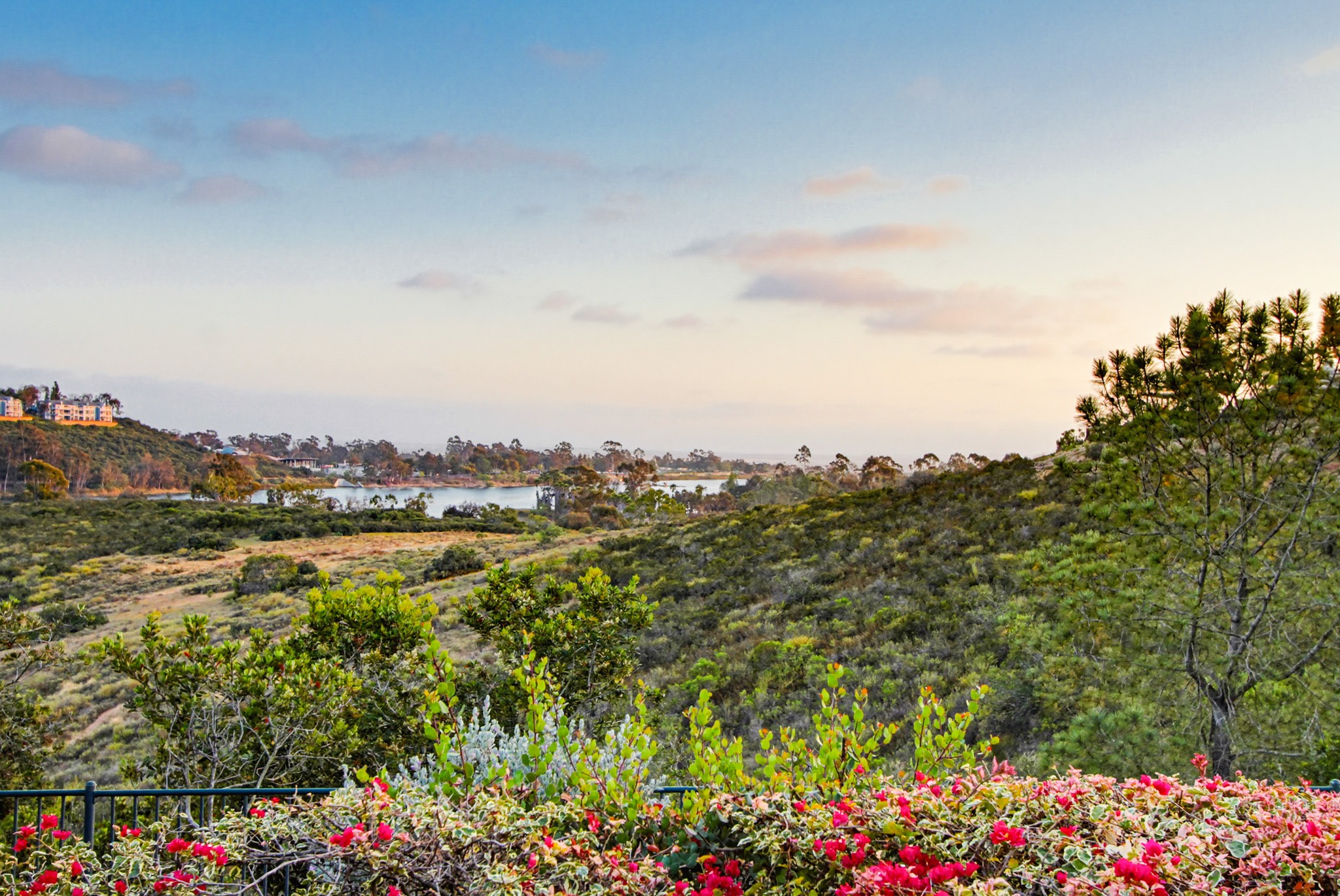 Virtual tour photo 100 of 99 for 10971 Twinleaf Ct