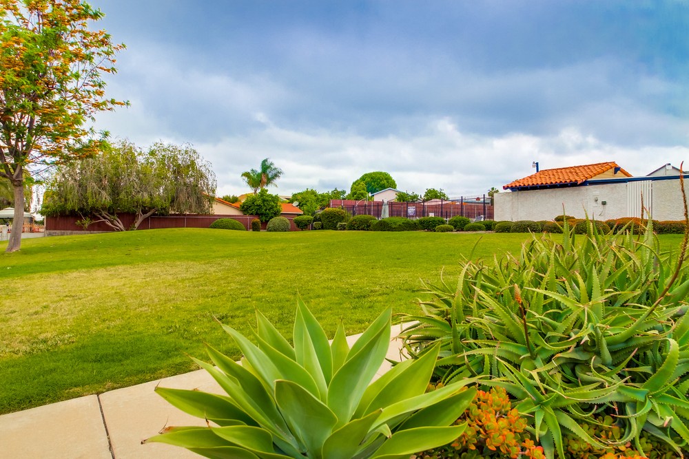 Virtual tour photo 35 of 35 for 11010 Westonhill Dr