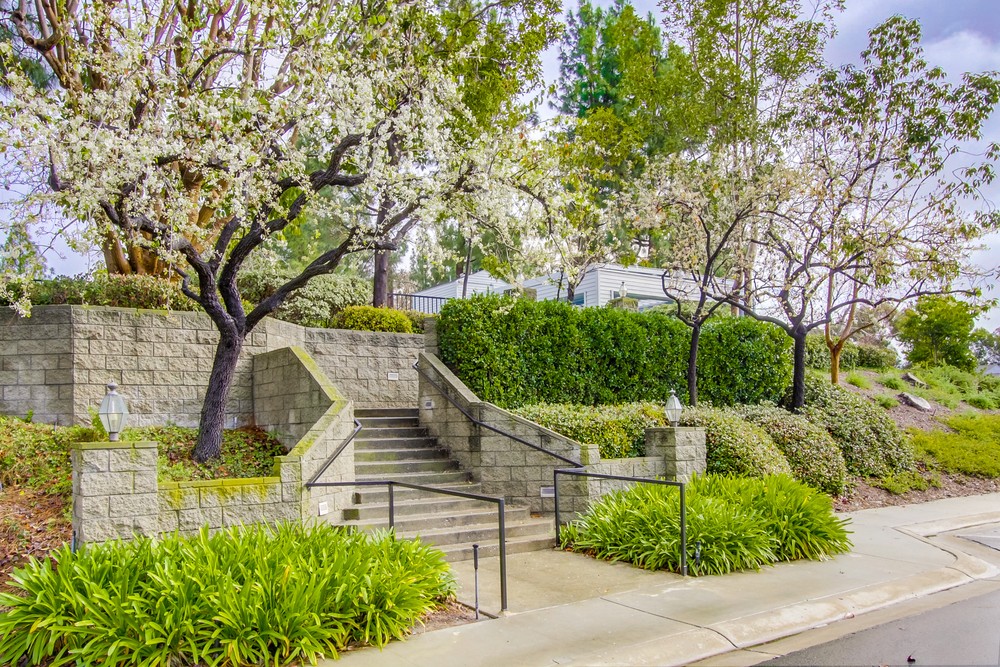 Virtual tour photo 1 of 60 for 11031 Caminito Vista Pacifica