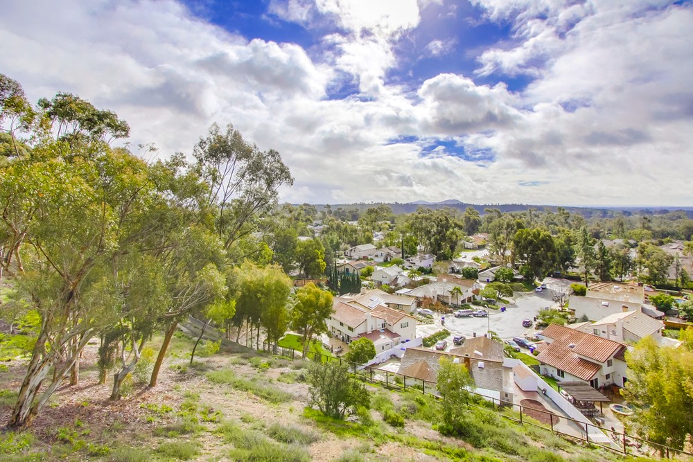 Virtual tour photo 50 of 60 for 11031 Caminito Vista Pacifica