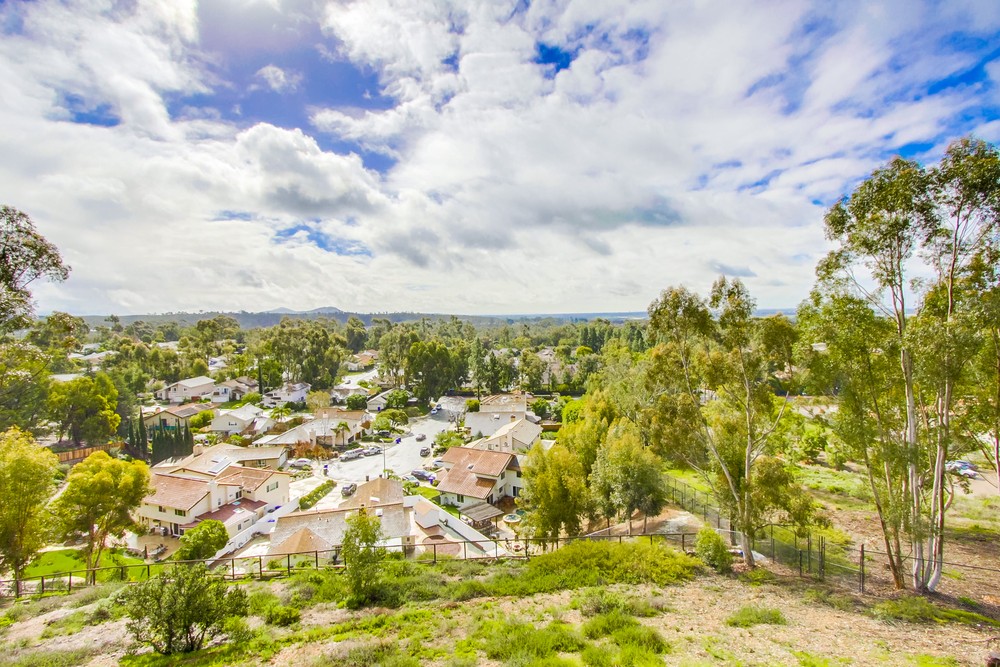 Virtual tour photo 51 of 60 for 11031 Caminito Vista Pacifica