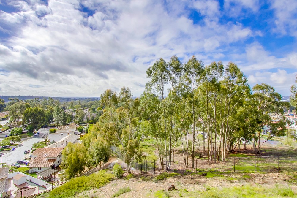 Virtual tour photo 57 of 60 for 11031 Caminito Vista Pacifica