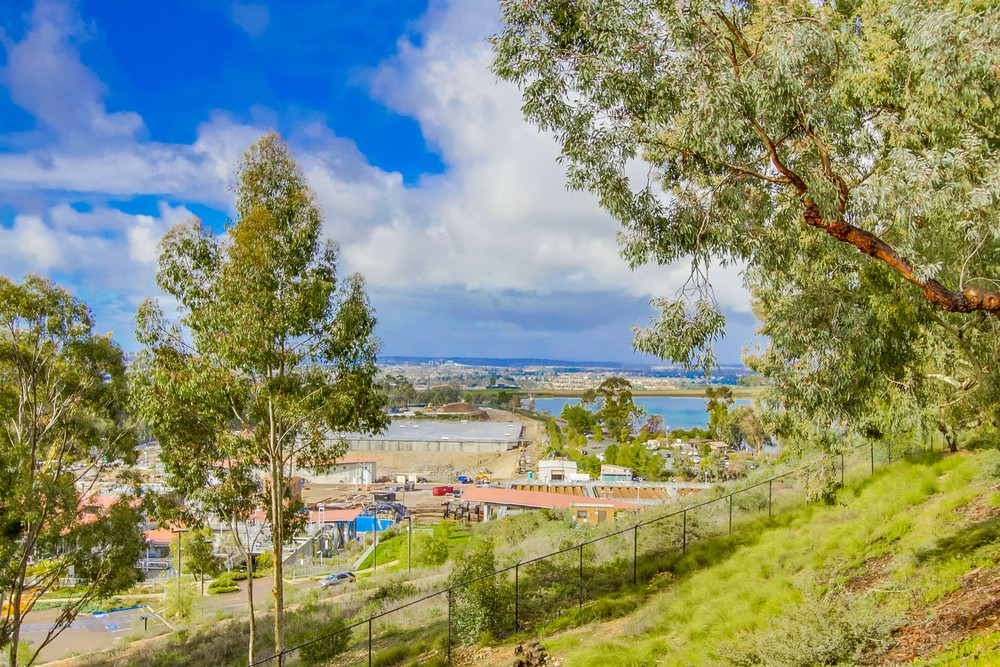 Virtual tour photo 58 of 60 for 11031 Caminito Vista Pacifica