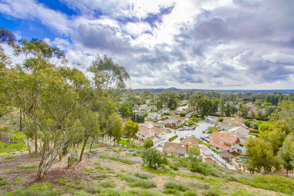 Virtual tour photo 60 of 60 for 11031 Caminito Vista Pacifica