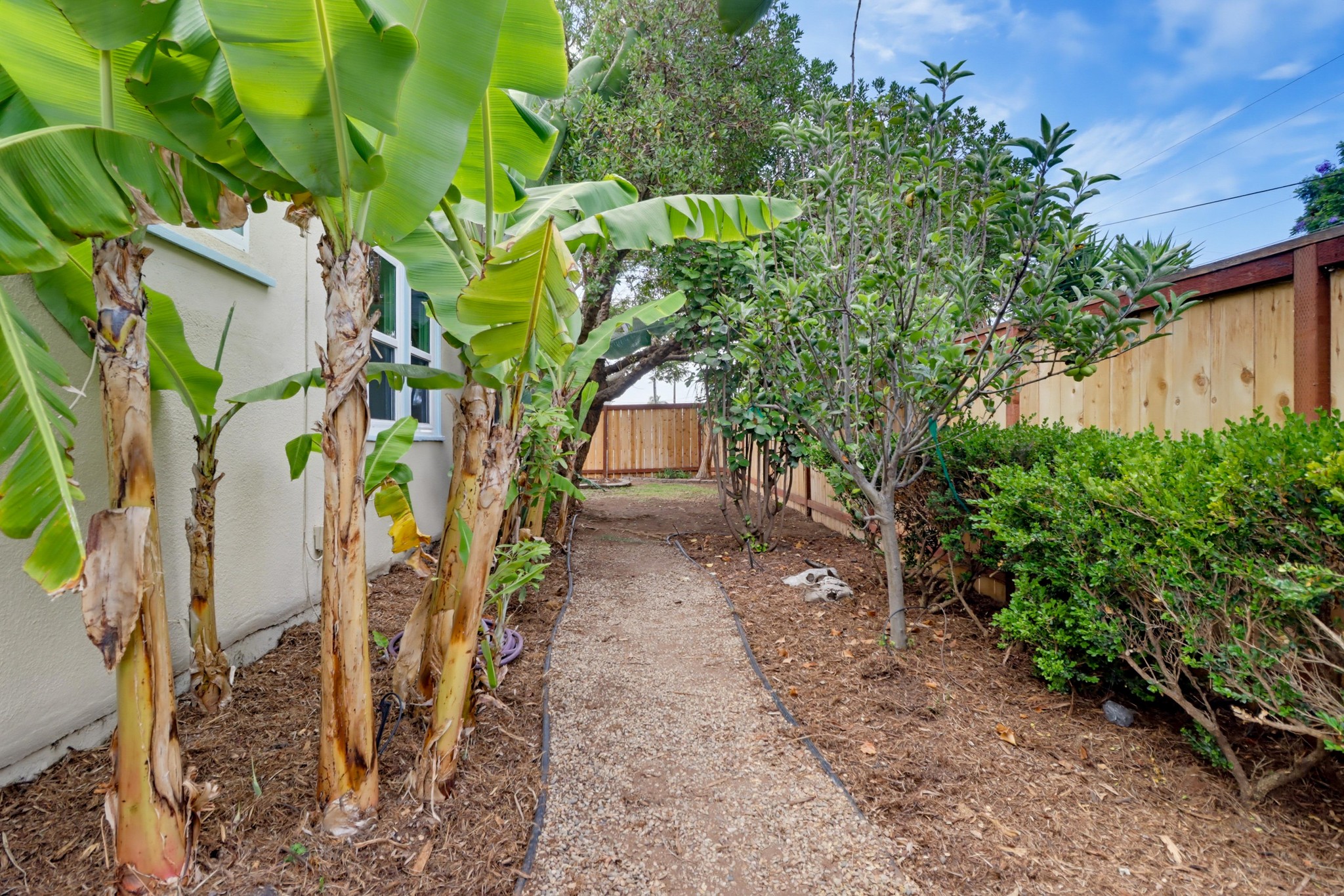 Virtual tour photo 55 of 64 for 1105 E 6th St