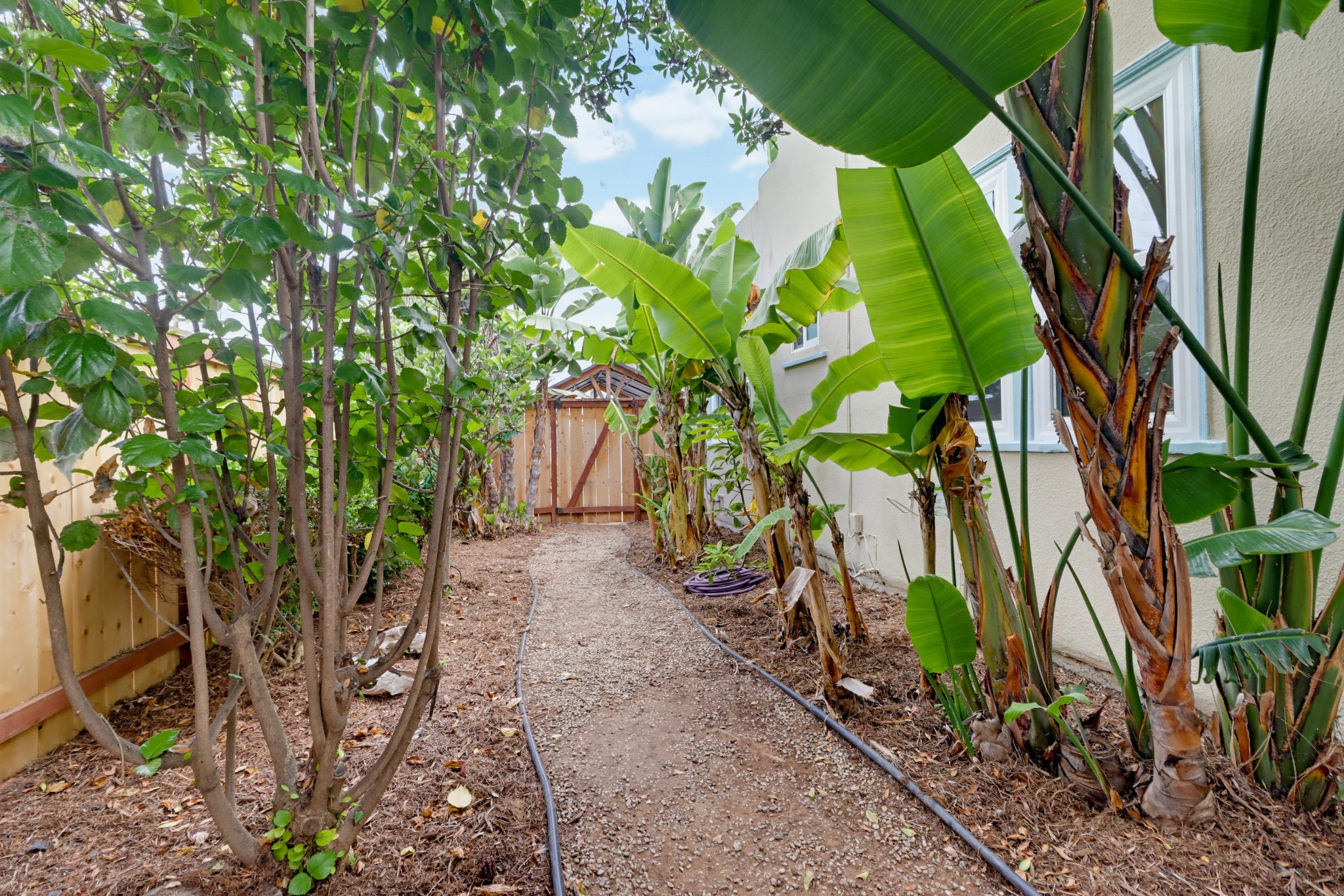 Virtual tour photo 56 of 64 for 1105 E 6th St
