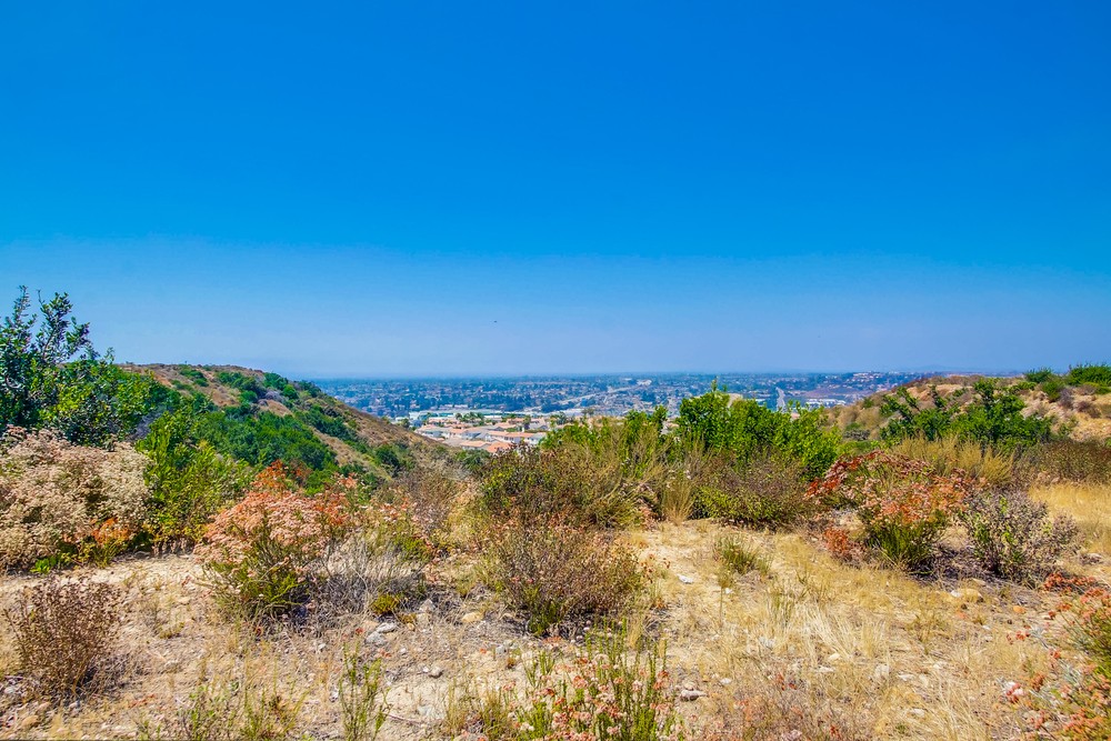 Virtual tour photo 101 of 100 for 1109 Sea Bird Way
