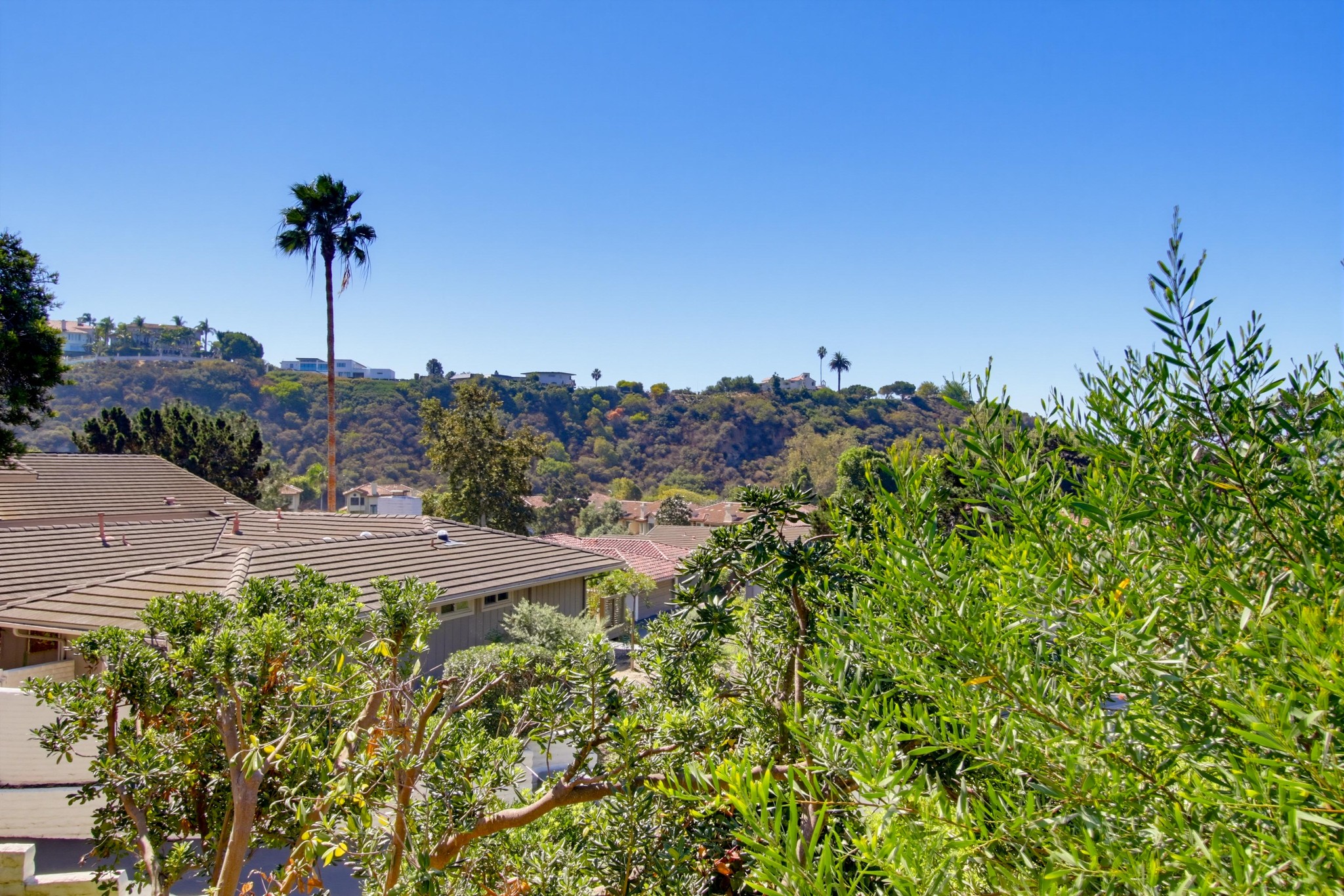 Virtual tour photo 32 of 87 for 111 Delicias Ct